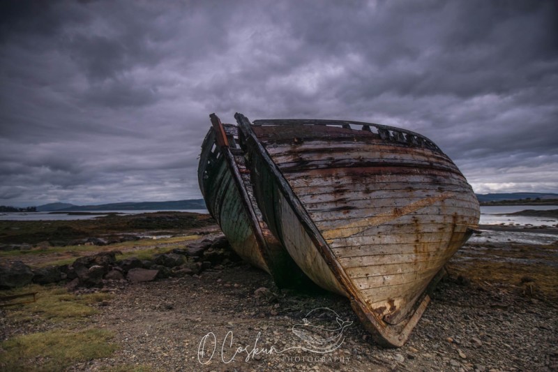 1_sct_8169-avec-accentuation-bruit