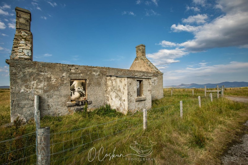 1_sct_9033-avec-accentuation-bruit