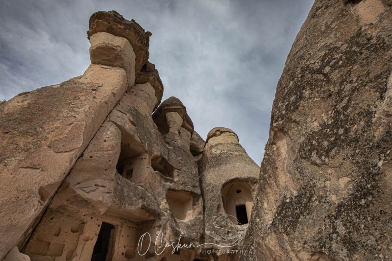 snj_1197-avec-accentuation-bruit