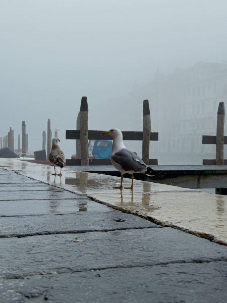 e689a370-e7b2-4a9f-baa7-928588c5c193-scaled