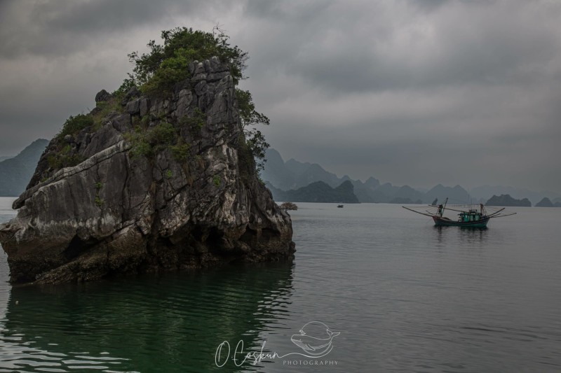 1q0a0468-avec-accentuation-bruit-2-scaled