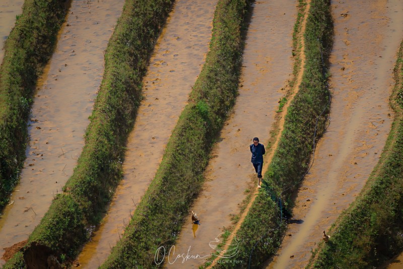 1q0a0620-avec-accentuation-bruit-modifier-scaled