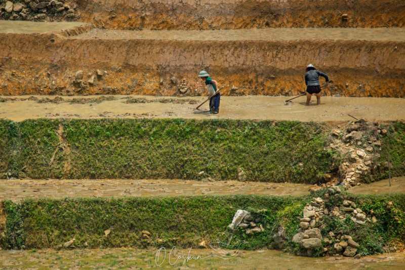 1q0a0753-avec-accentuation-bruit-scaled