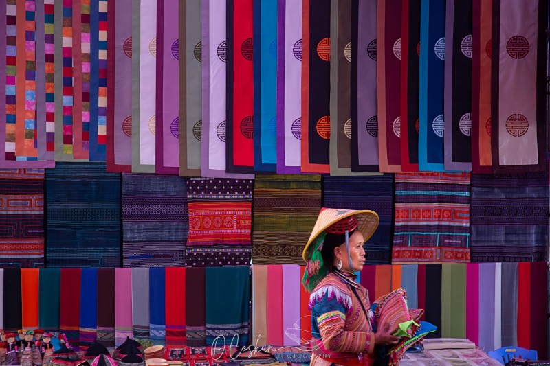 1q0a1031-modifier-scaled