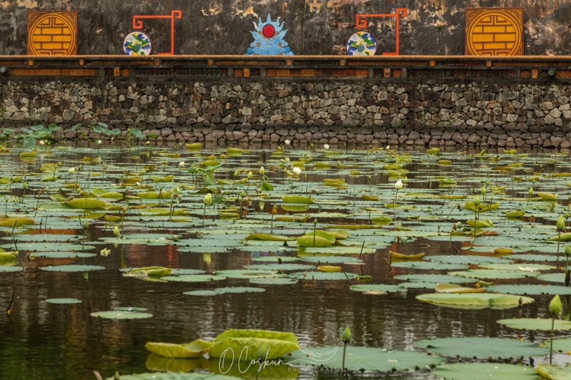 1q0a1719-avec-accentuation-bruit-modifier-scaled