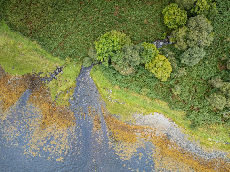DJI_0107-Avec-accentuation-Bruit-scaled