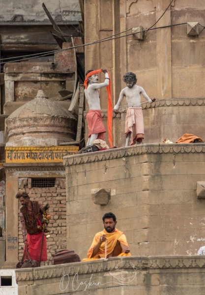 inde3626