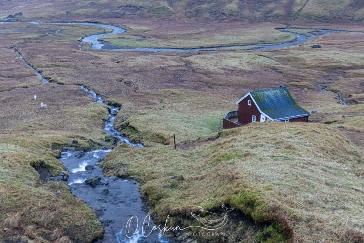 Faroe Islands, raw beauty, intact violence.
