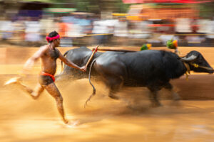 Kambala
